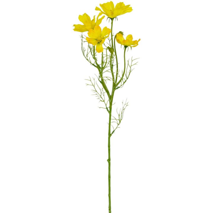 Silkkikasvi Cosmos 60 cm keltainen