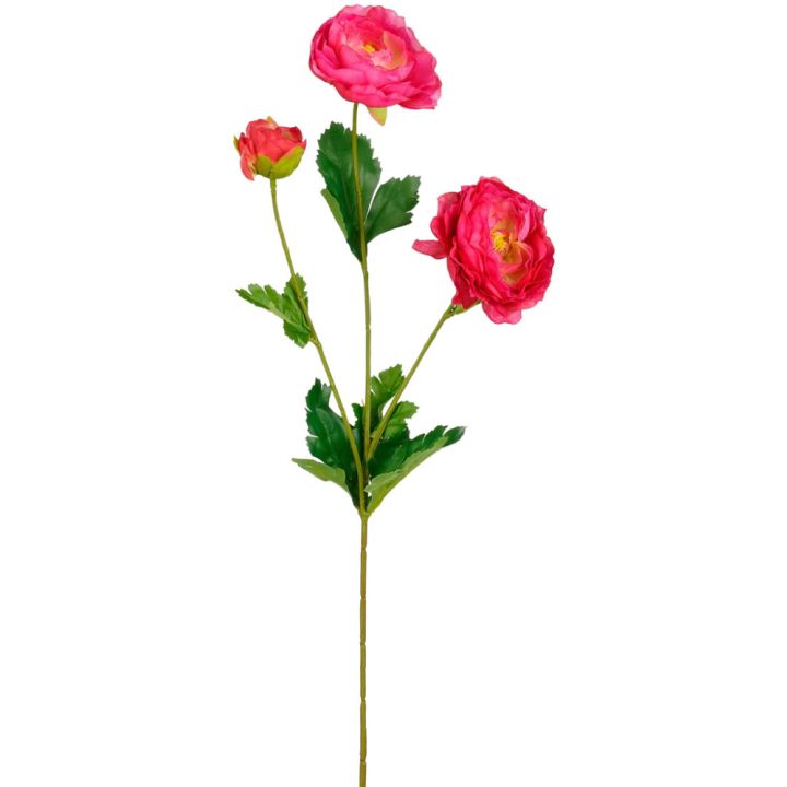 Silkkikasvi Leinikki 66 cm fuksia