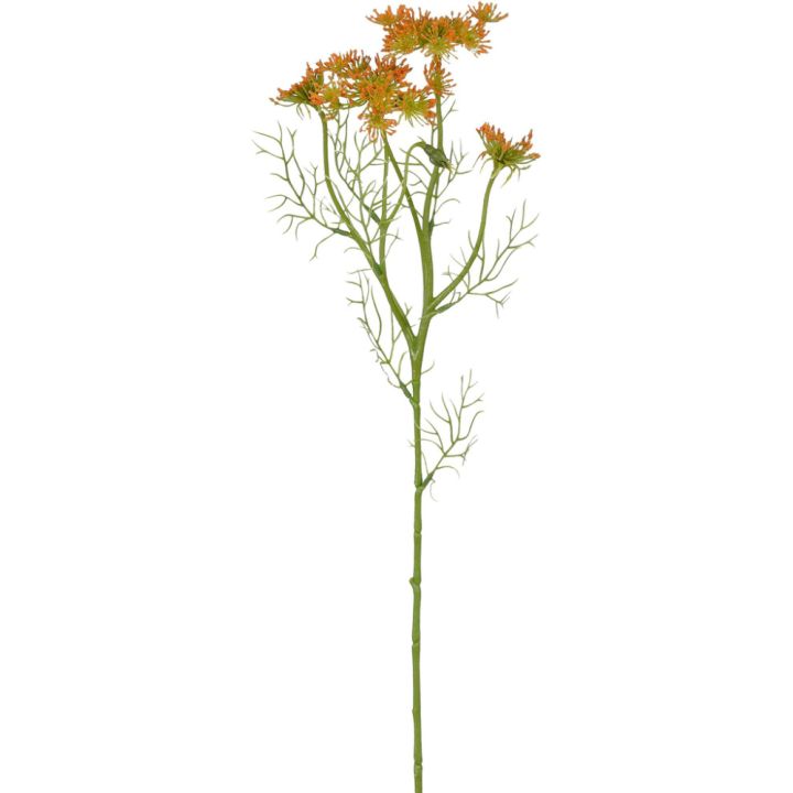 Silkkikasvi Porkkanankukka 61 cm oranssi