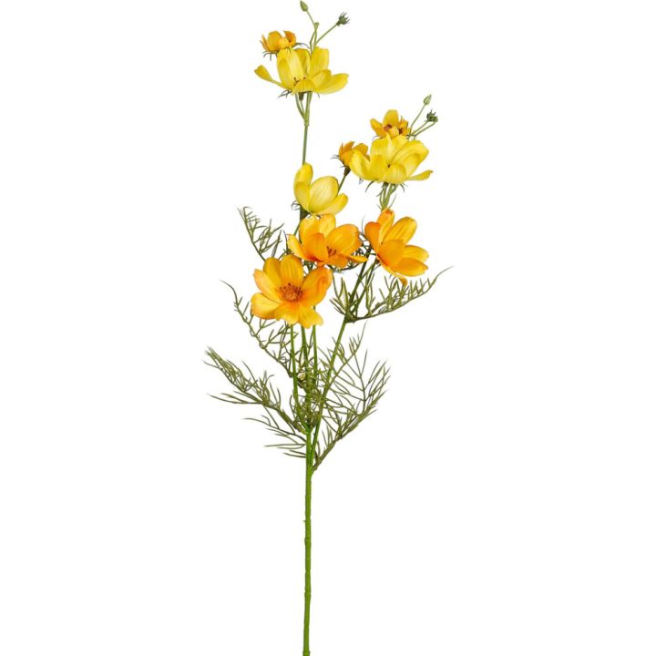 Koristeoksa Kosmoskukka 73 cm lajitelma