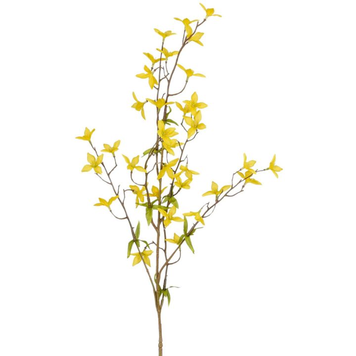 Koristeoksa Keltakärhö 84 cm