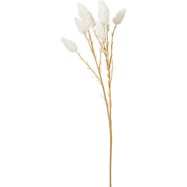 Koristeoksa talvikukka 70 cm lajitelma