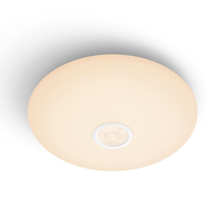 Philips Toiminnallinen kattovalaisin