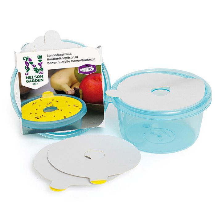 Kärpäsansa banaanikärpäsille