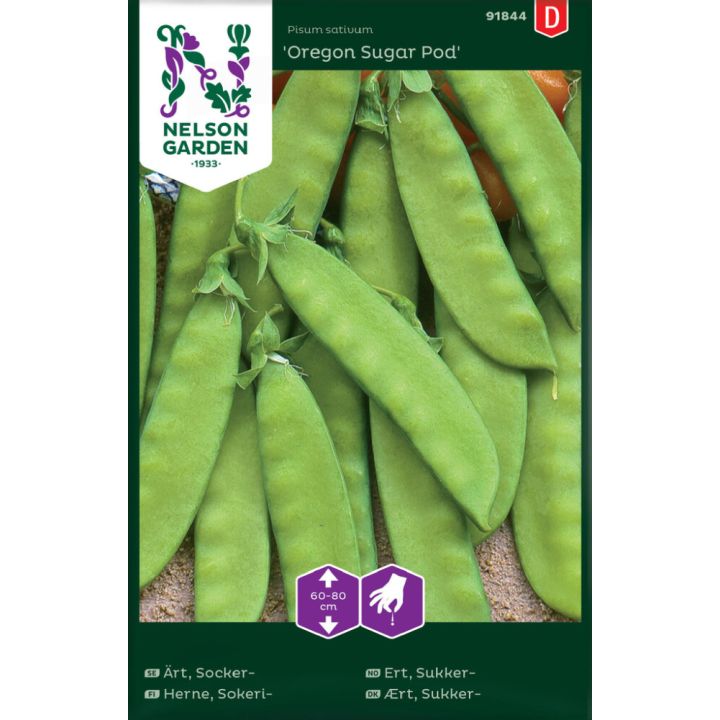 Sokeriherne Nelson Garden Oregon Sugar Pod
