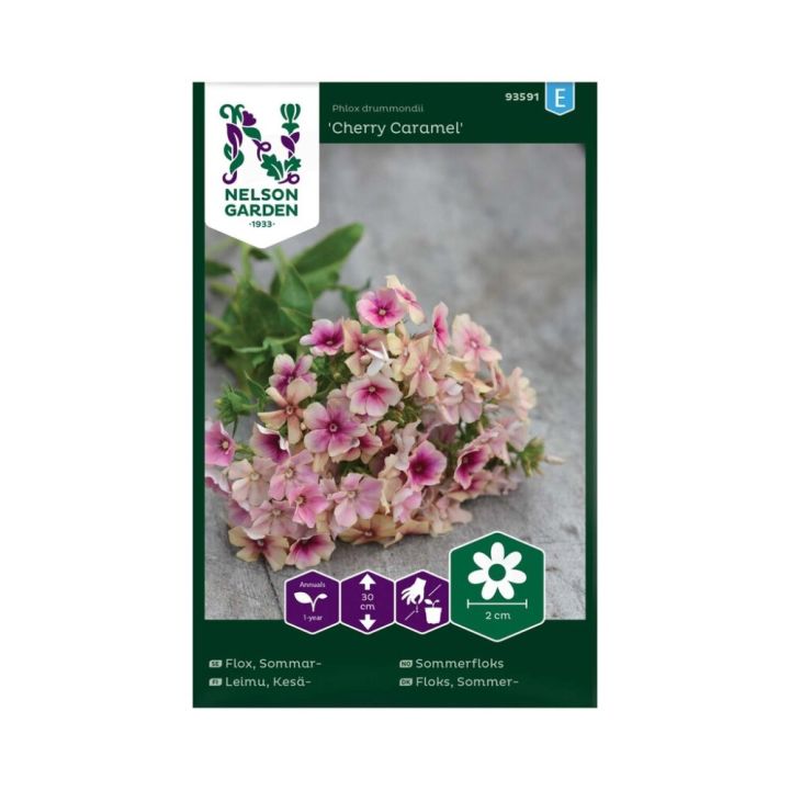 Kesäleimu Phlox drummondii Cherry Caramel