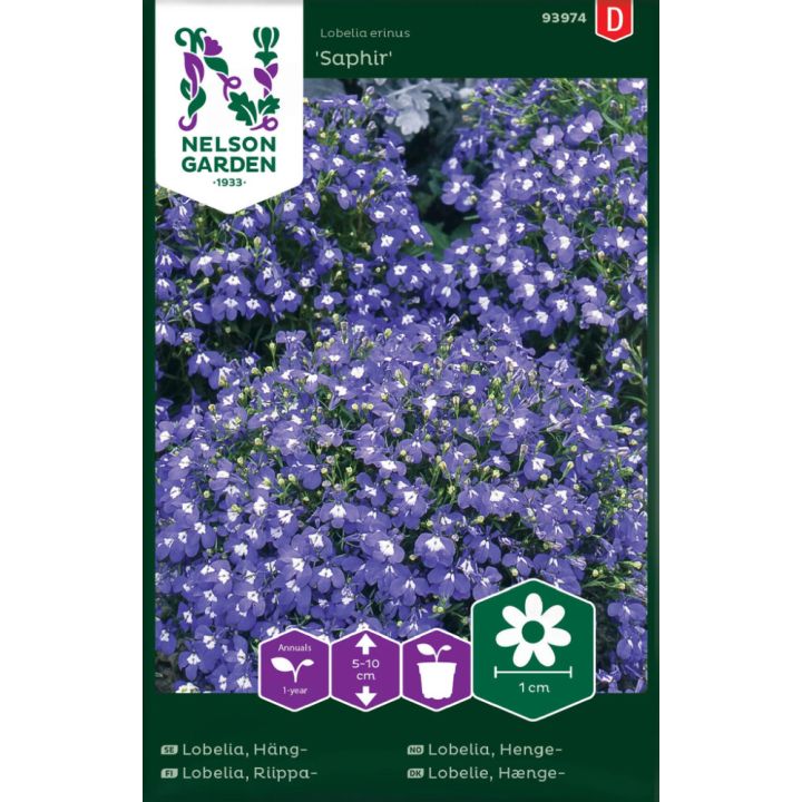 Riippalobelia Nelson Garden Saphir