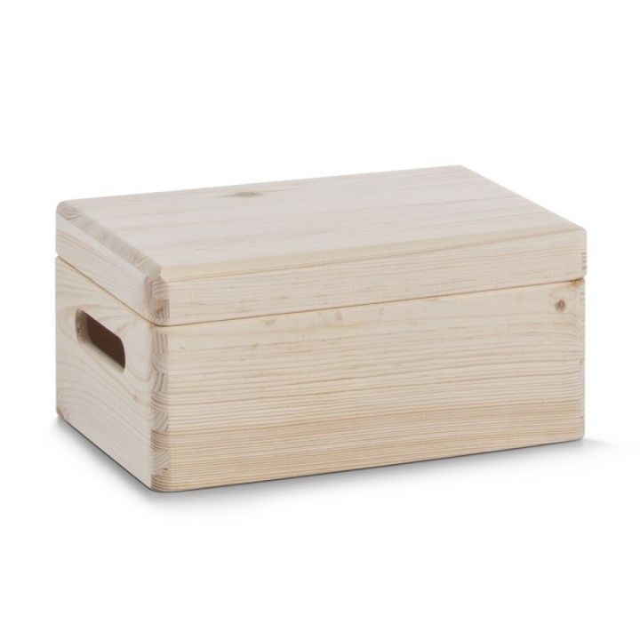 Monitoimilaatikko kannella Zeller 30 x 20 x 15 cm