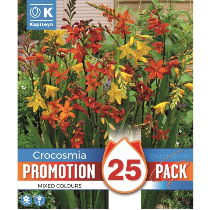 Kevätkukkasipuli Promotion Croscosmia Mix 25 kpl