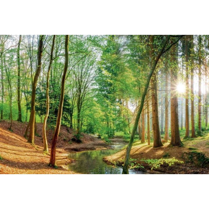 Juliste Reinders 044 61 x 91,5 cm