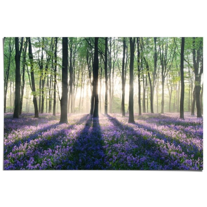 Juliste Reinders 116 61 x 91,5 cm