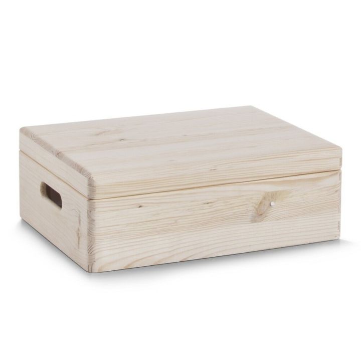 Monitoimilaatikko kannella Zeller 40 x 30 x 14 cm