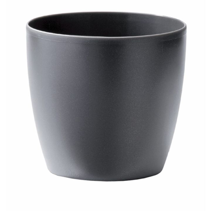 Suojaruukku Elho Brussels antrasiitti 25 cm