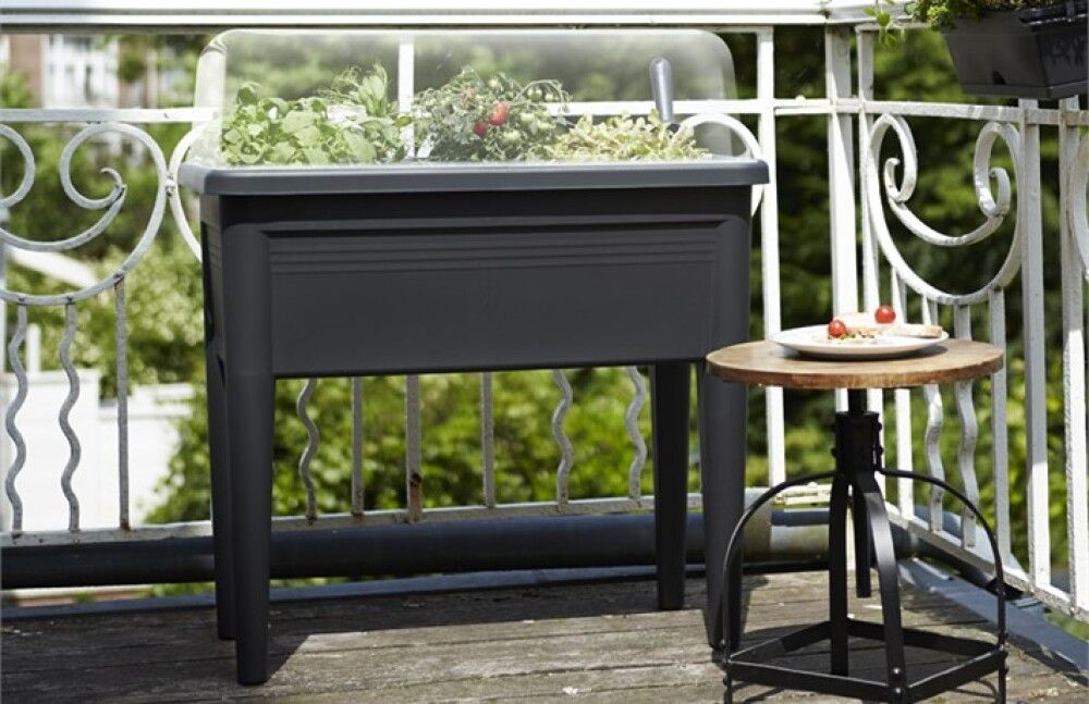 Parvekepuutarha Elho Green Basics XXL antrasiitti