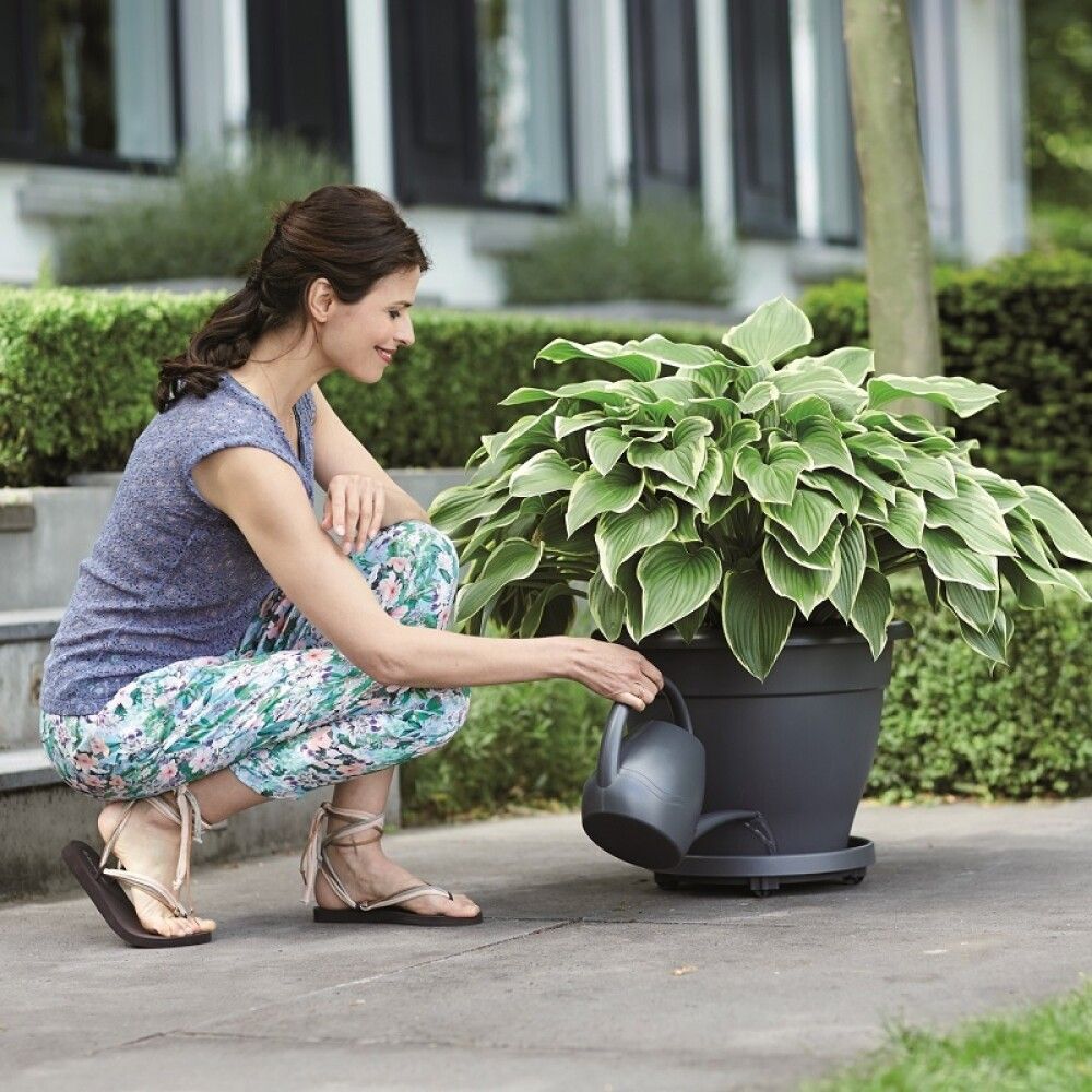 Rulla-alusta Elho Universal antrasiitti 35 cm