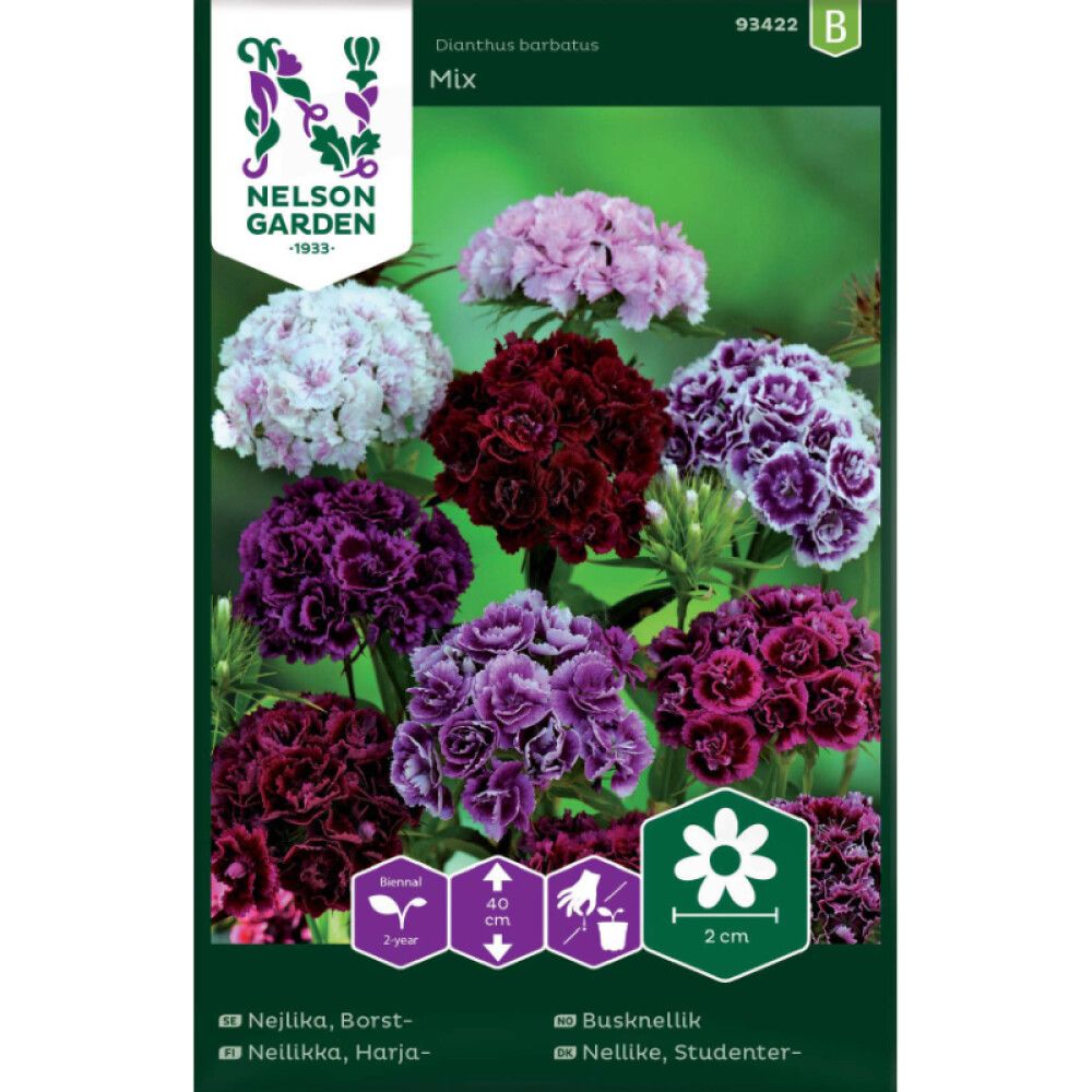 Harjaneilikka Nelson Garden Mix
