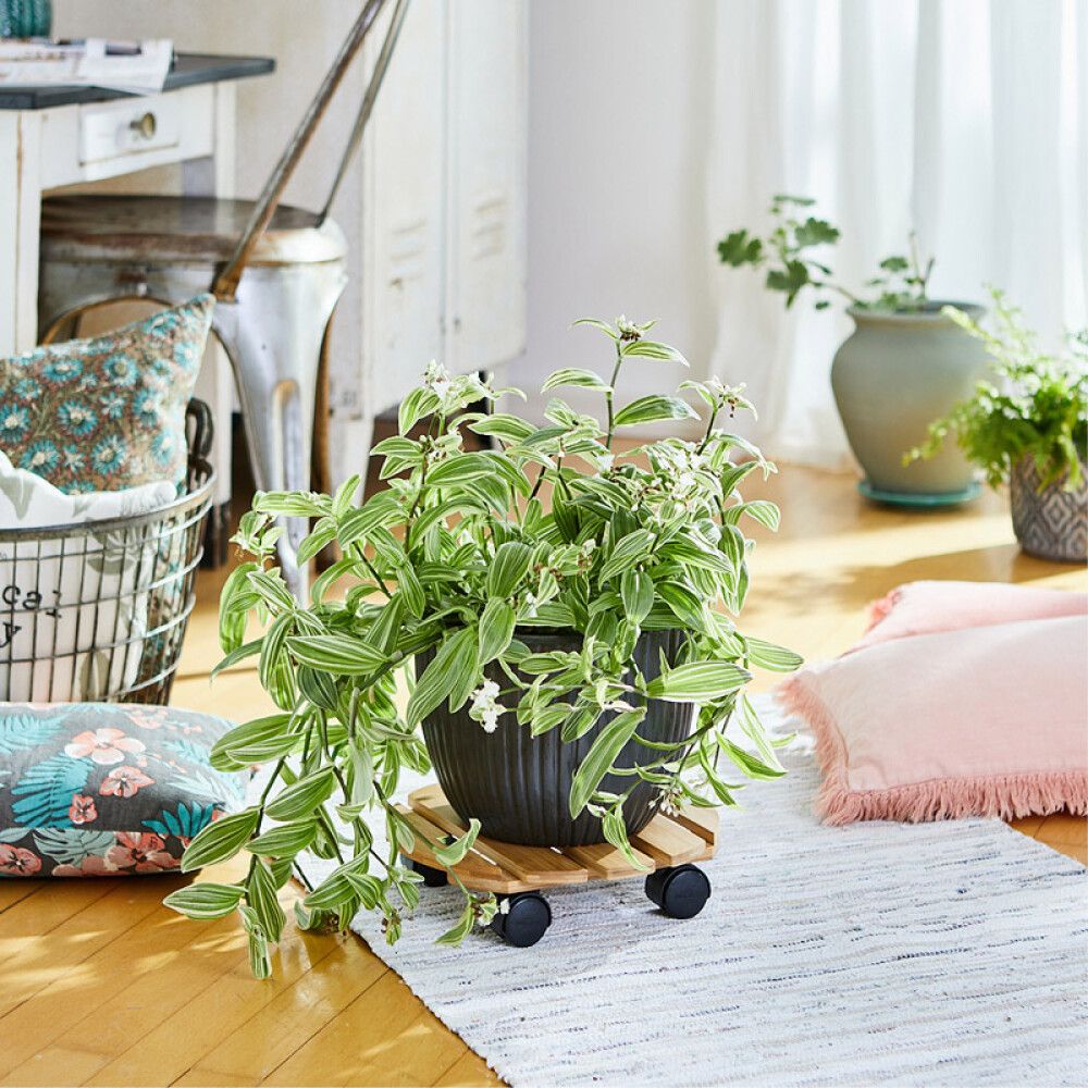 Ruukunalunen Bamboo 29 cm