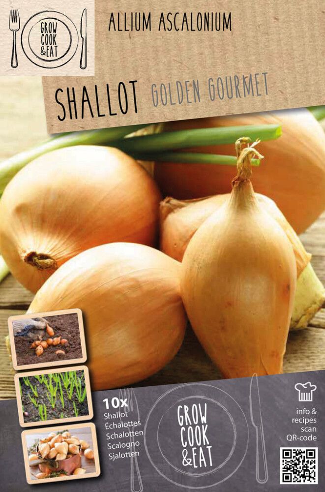 Salottisipuli Kapiteyn Golden Gourmet 10 kpl