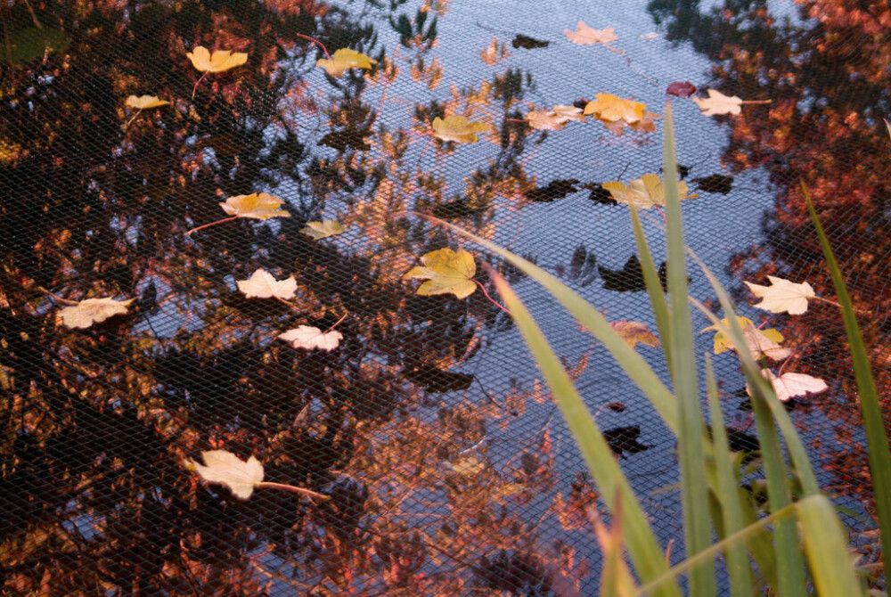 Suojaverkko piha-altaisiin 4 x 6 m