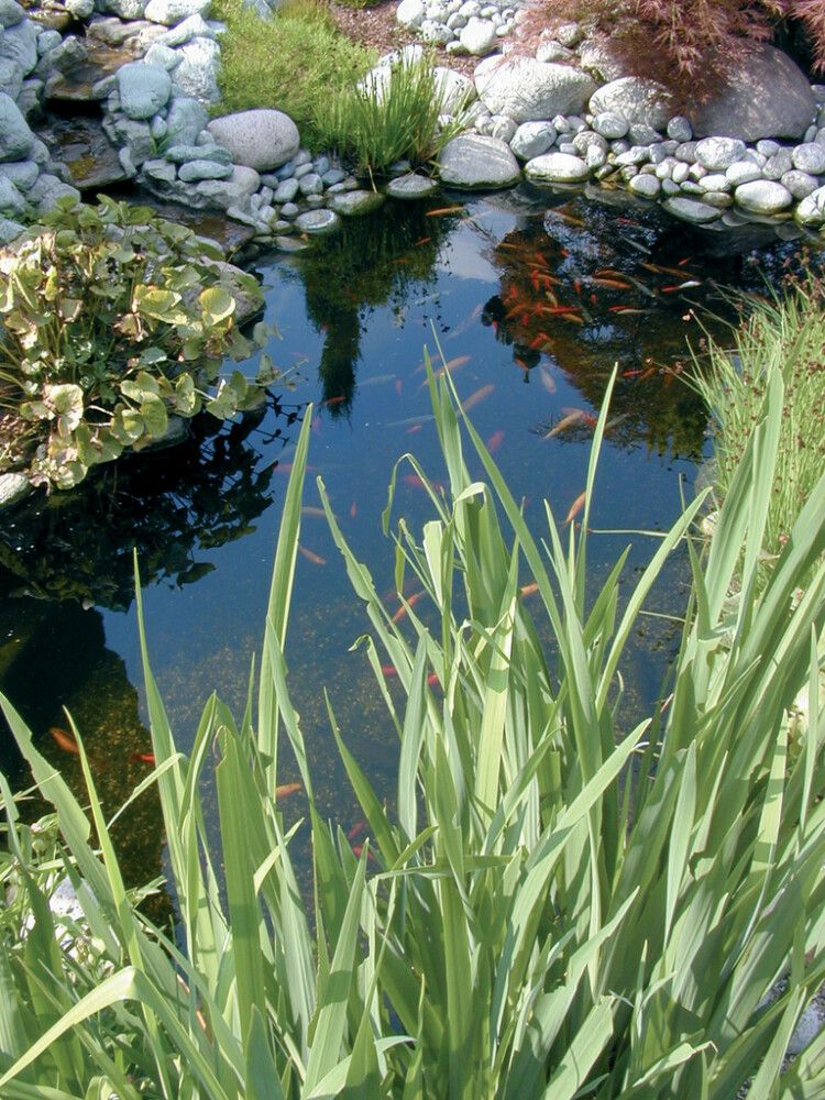 Allasmuovi Ubbink Leveys 2 M