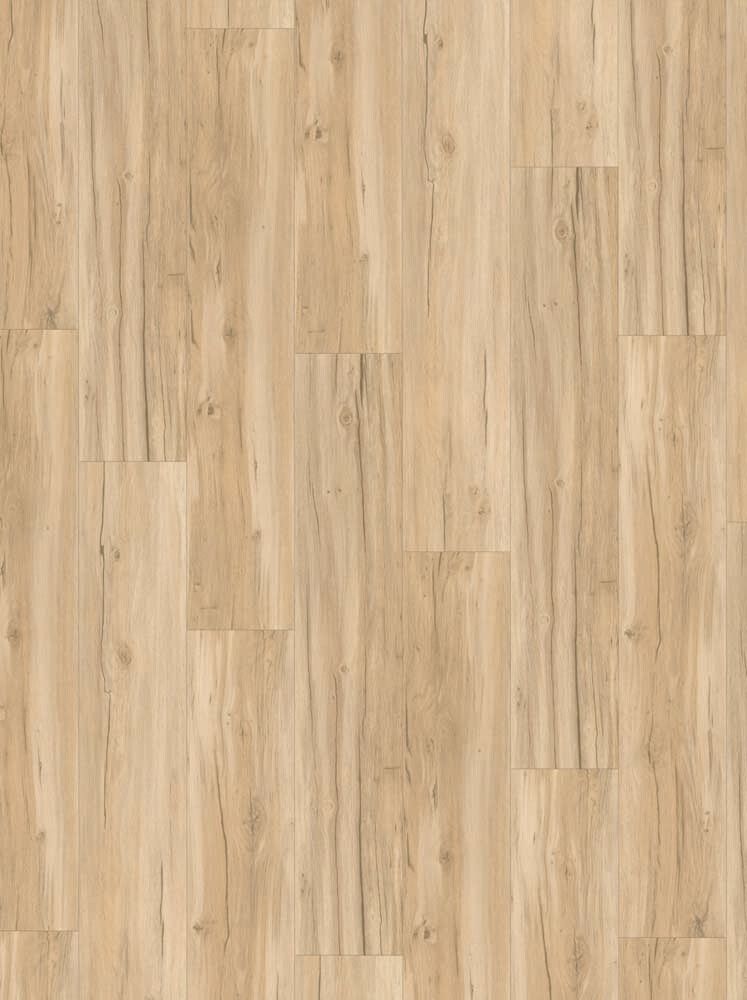 Vinyylilankku Parador Basic SPC 5.3 Oak Memory Sanded