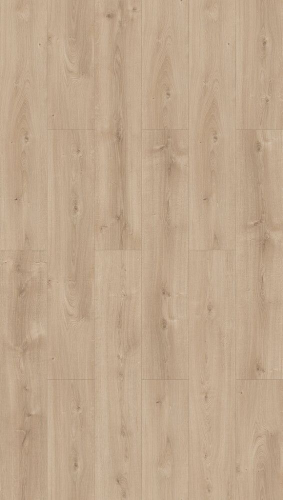 Laminaatti Parador Basic 600 Oak Avant Sanded