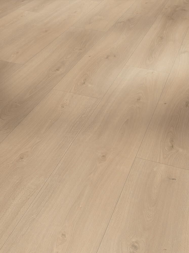 Laminaatti Parador Basic 600 Oak Avant Sanded