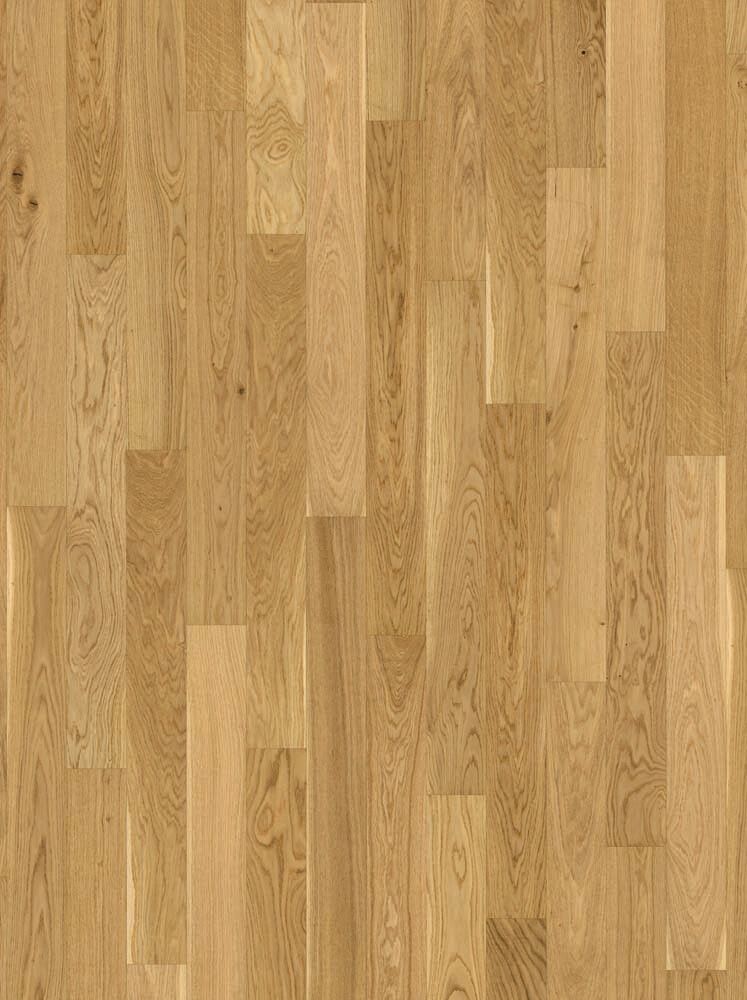 Parketti Parador Classic 3025 Living Oak Matt Lacquered Wide