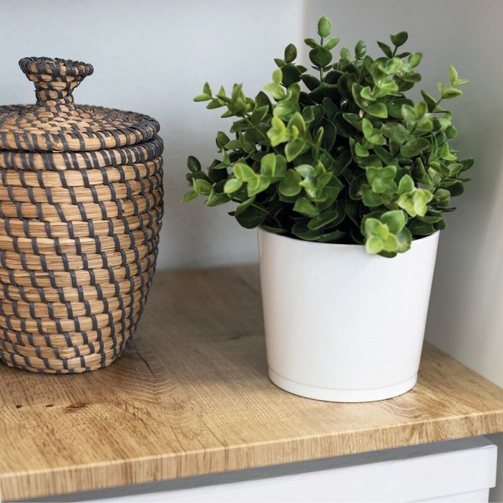 Kontaktimuovi D-C-Fix Ribbeck Eiche 45 x 200 cm