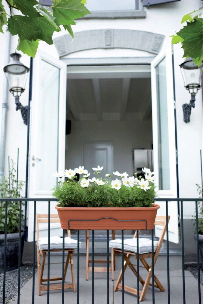 Parvekekannake Elho Barcelona 50 cm parvekelaatikolle