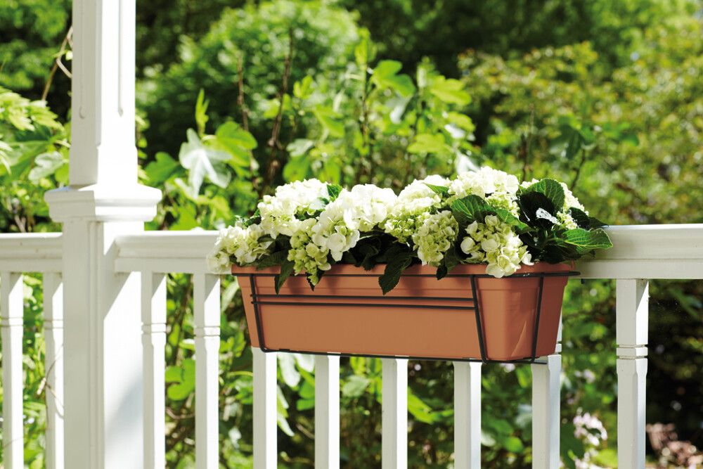 Parvekelaatikko Elho Green Basics Allin1 50 cm terra