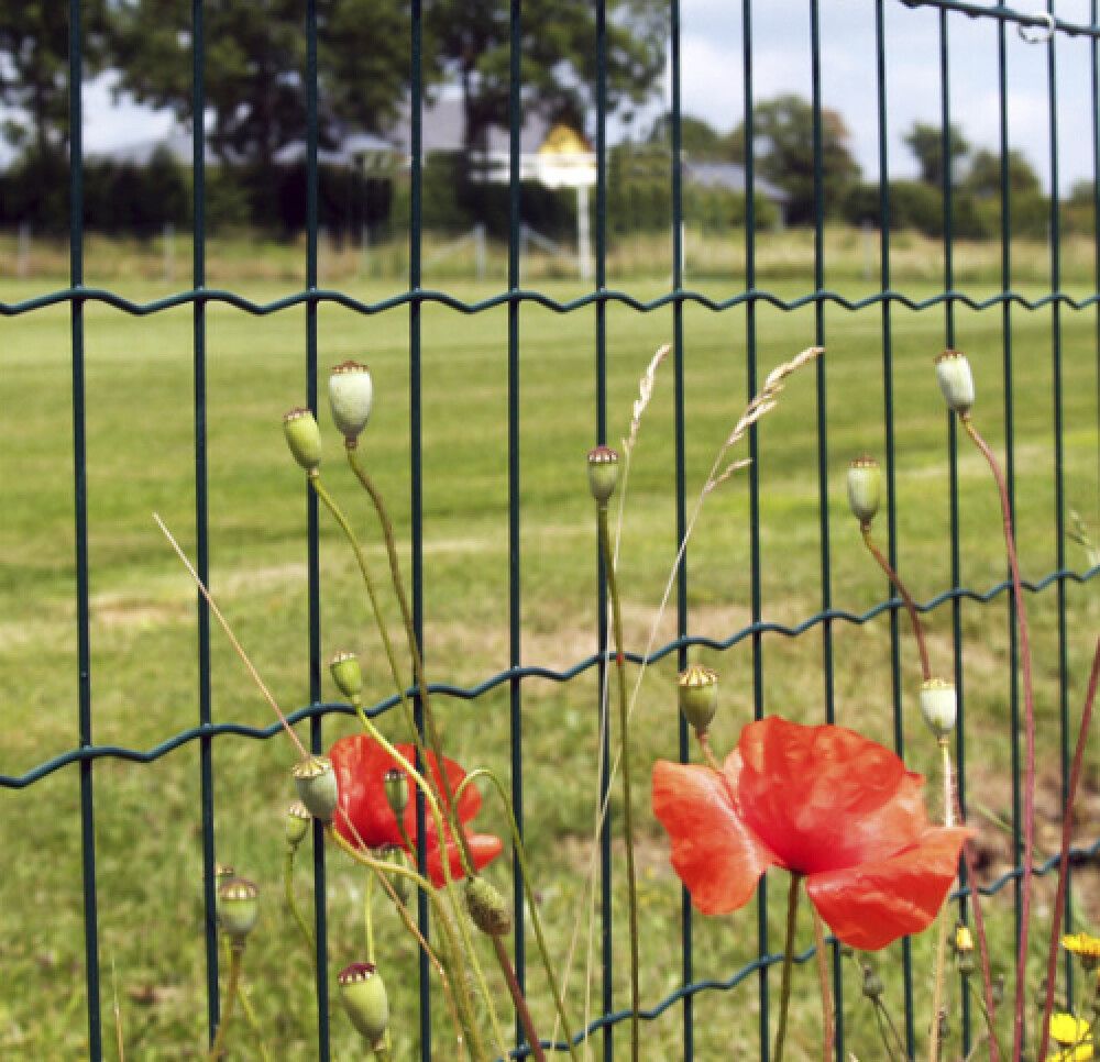 Puutarhaverkko 90 cm x 25 m Musta