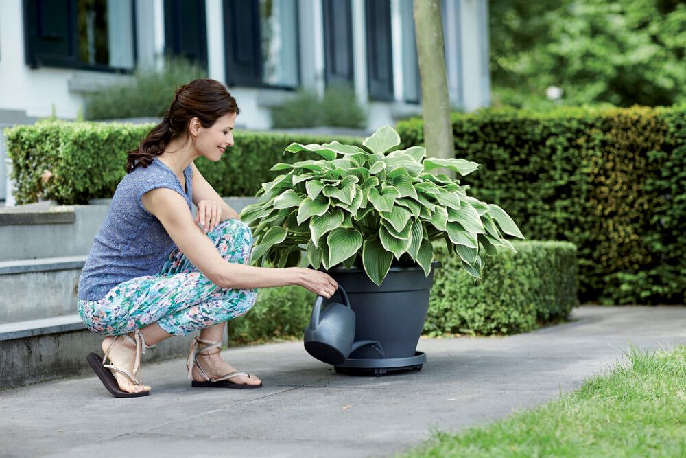 Rulla-alusta Elho Universal antrasiitti 35 cm