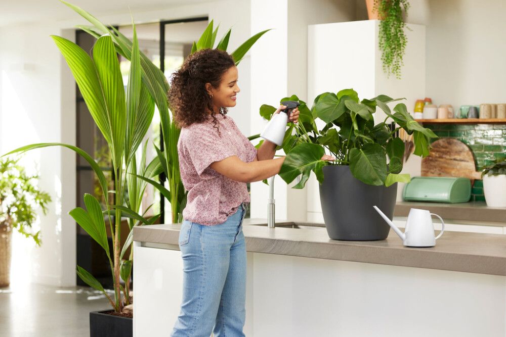 Kastelukannu Elho Brussels 1,8 l valkoinen