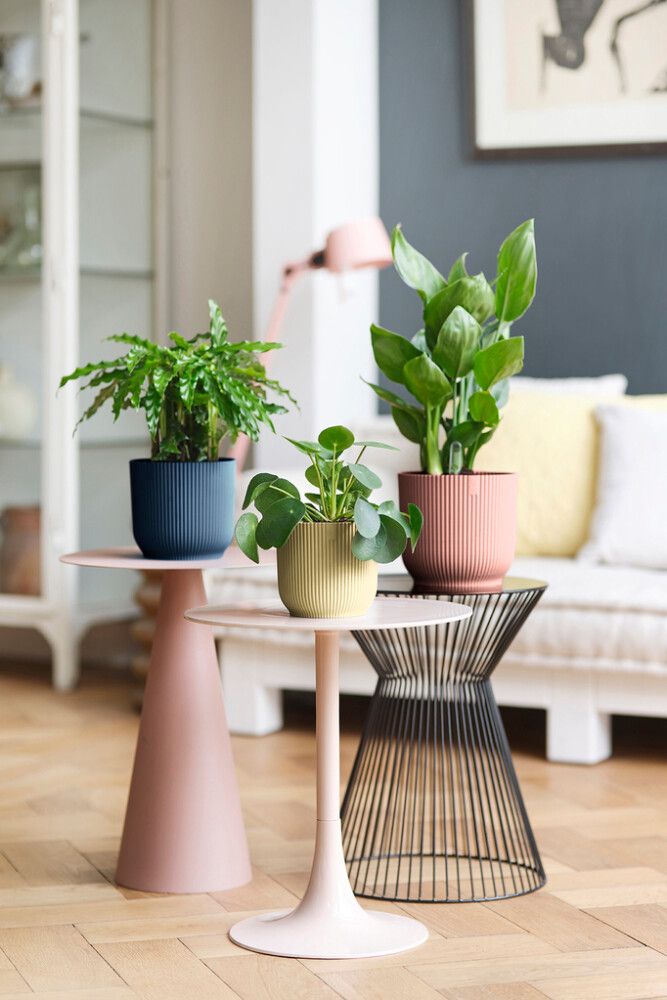 Suojaruukku Elho Vibes Fold 22 cm vaaleanpunainen