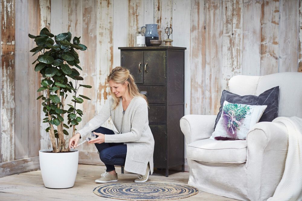 Ruukkukastelija Elho Aqua Care 350 ml kirkas