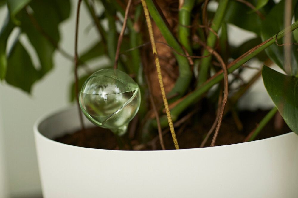 Ruukkukastelija Elho Aqua Care 350 ml lime