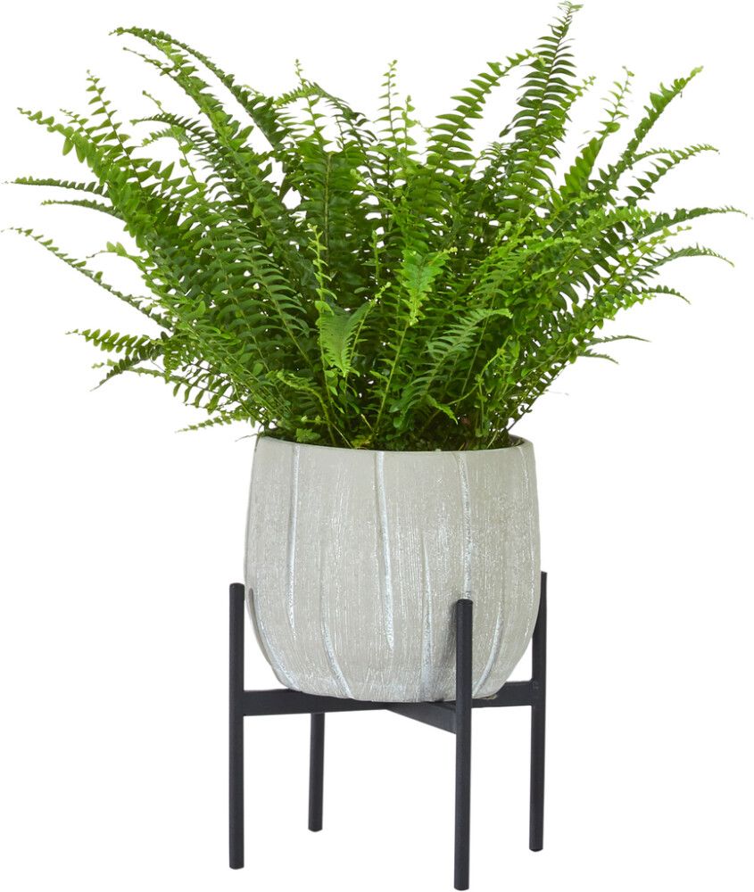 Ruukkuteline antrasiitti 19 x 15 cm