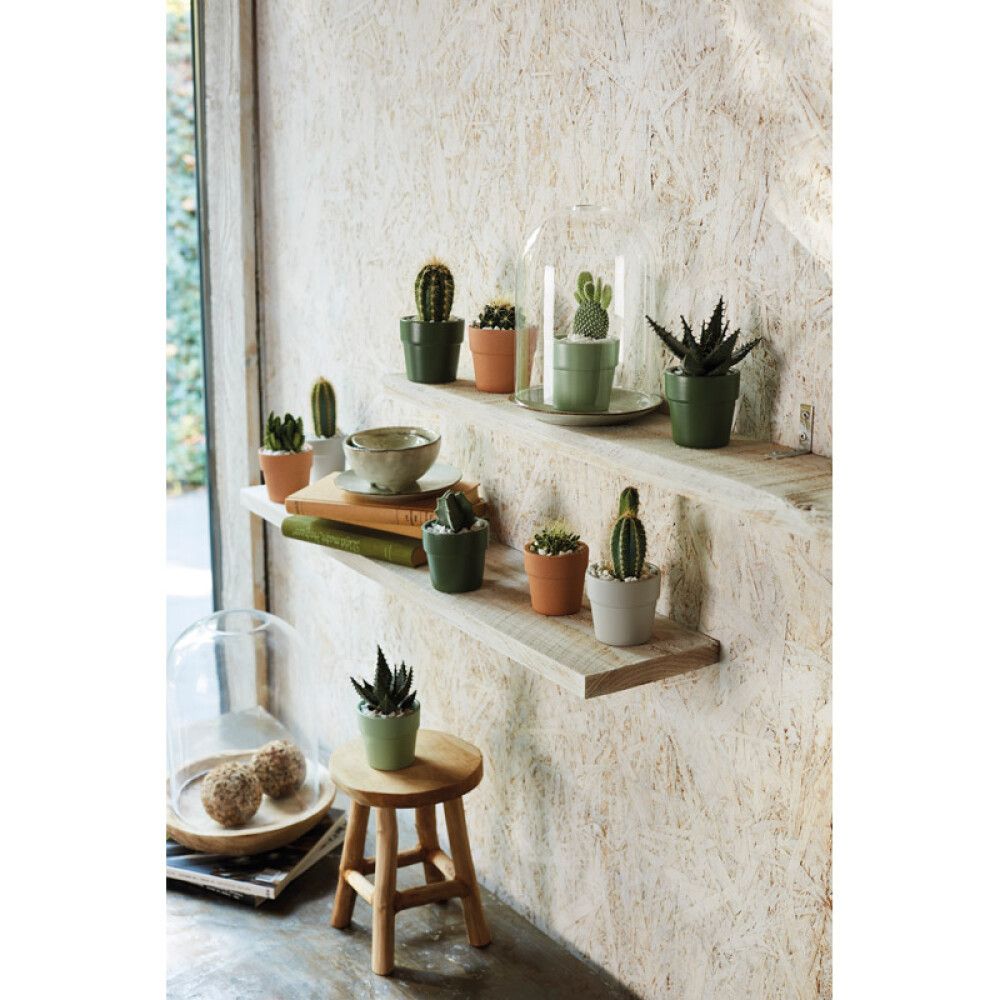 SUOJARUUKKU LIMA 7 CM TUMMANVIHREÄ