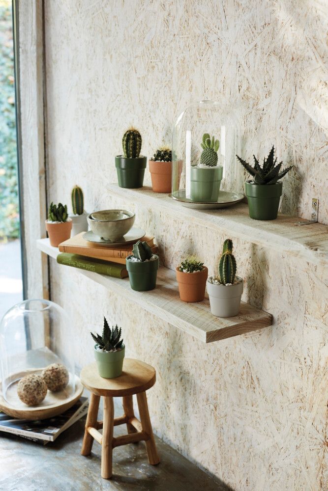 SUOJARUUKKU LIMA 7 CM TUMMANVIHREÄ