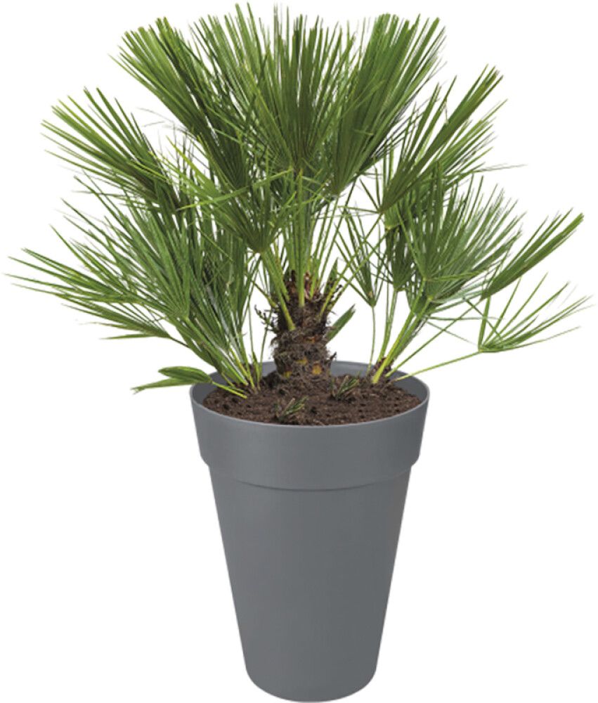 Ulkoruukku Elho Loft Urban antrasiitti 35 cm