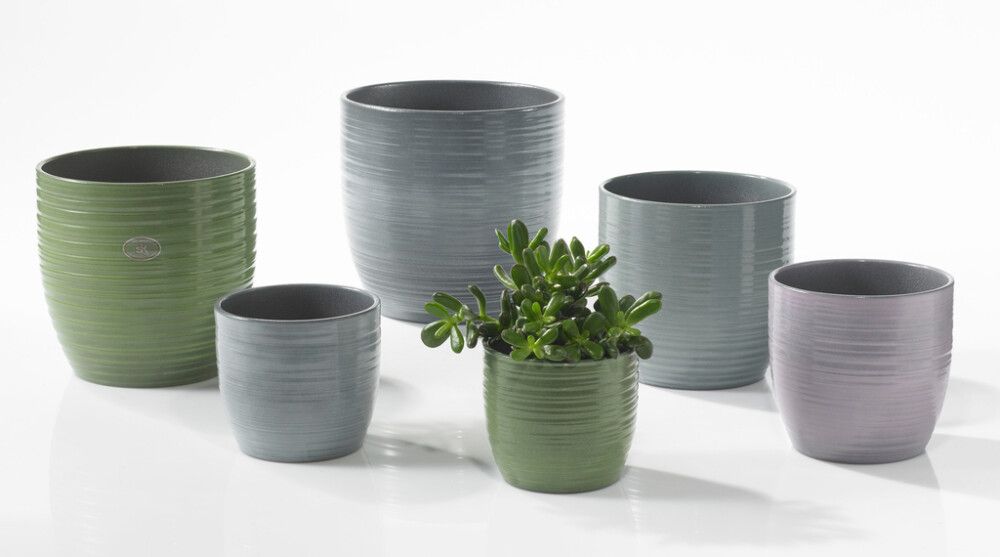 Suojaruukku Bergamo vihreä 14 cm