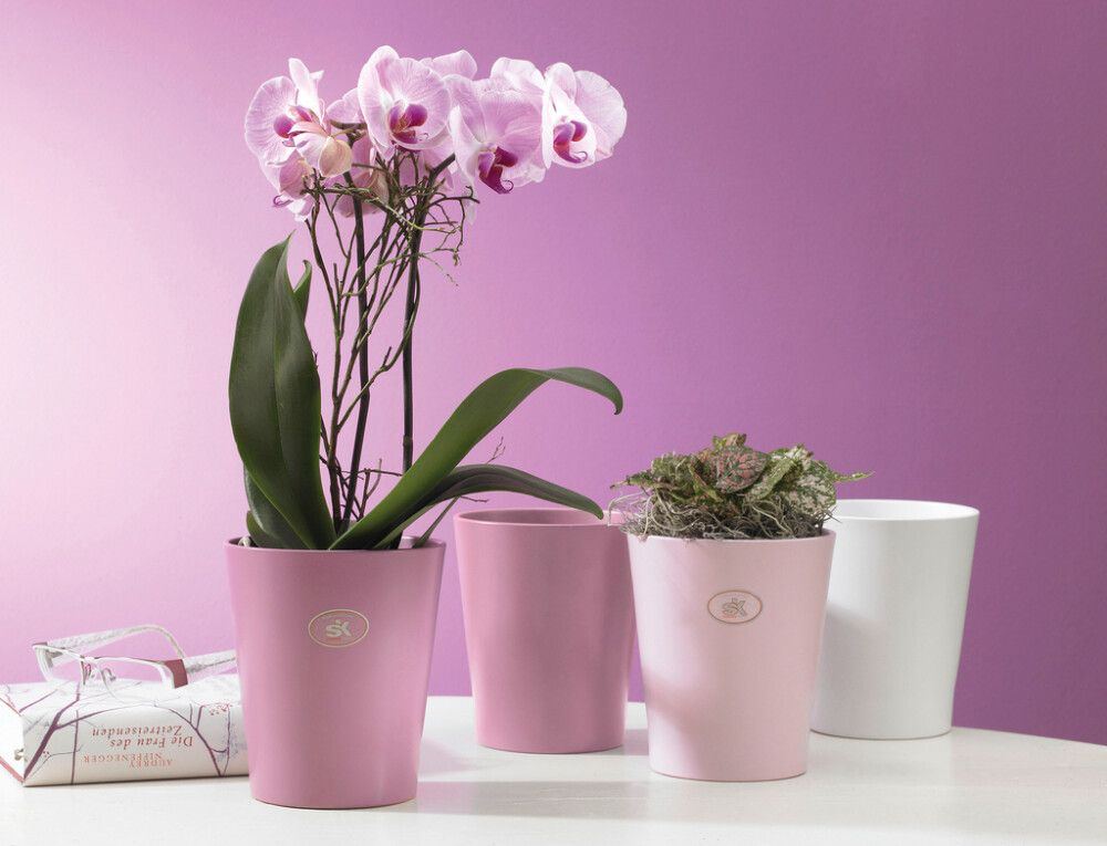 Orkidearuukku Merina Pretty mattavalkoinen Ø14 x 15 cm