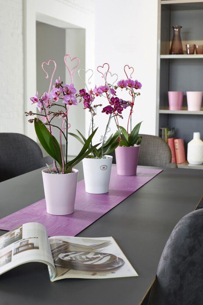 Orkidearuukku Merina Pretty mattavalkoinen Ø14 x 15 cm