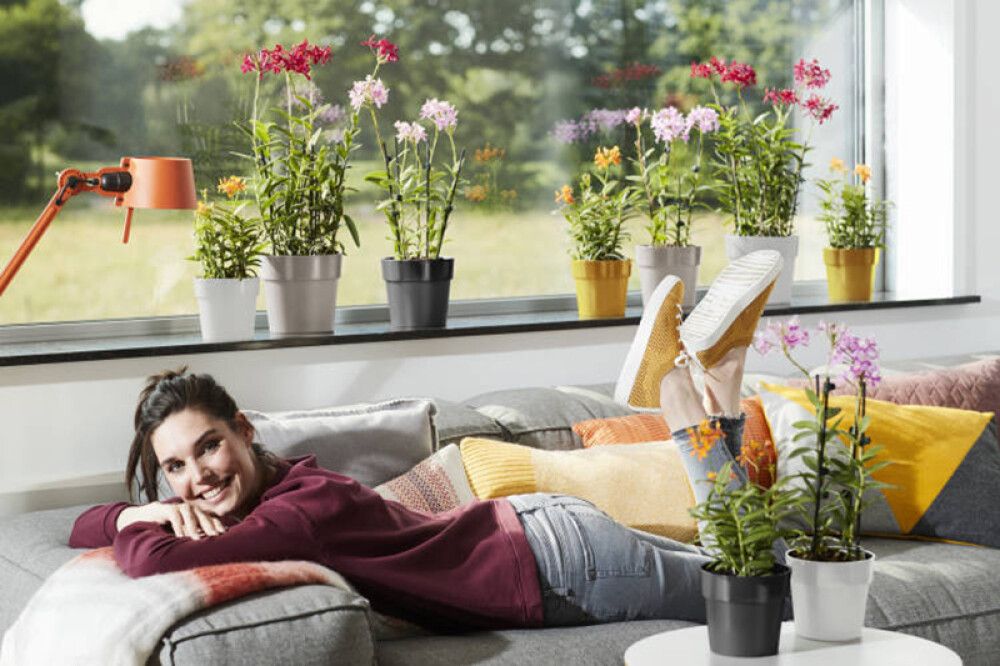 Suojaruukku Elho B. For Original musta 22 cm