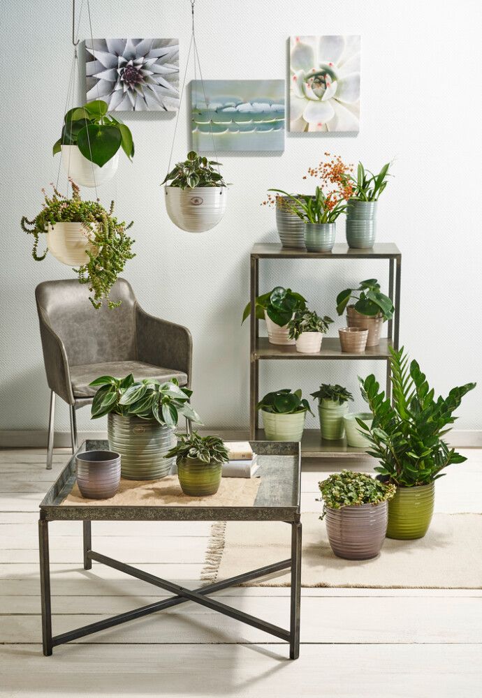 Pikkukuva 2