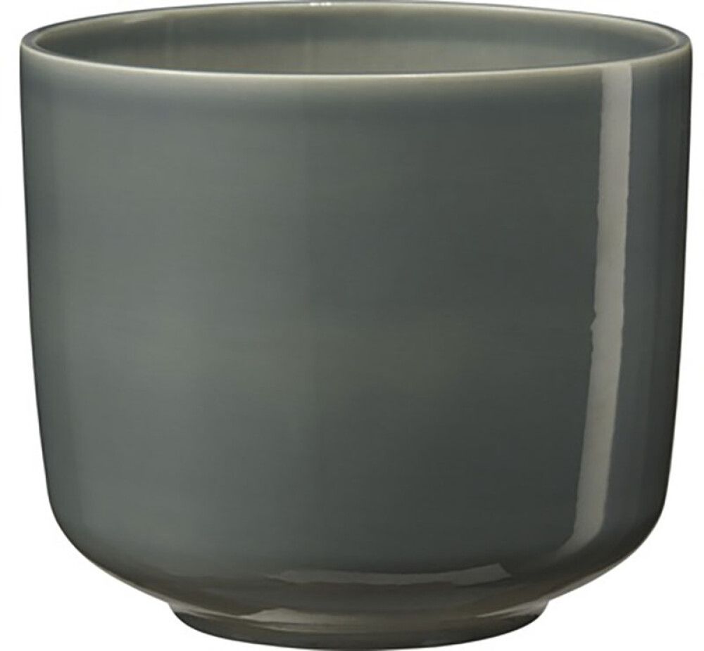 Suojaruukku Bari vihreänharmaa 19 cm