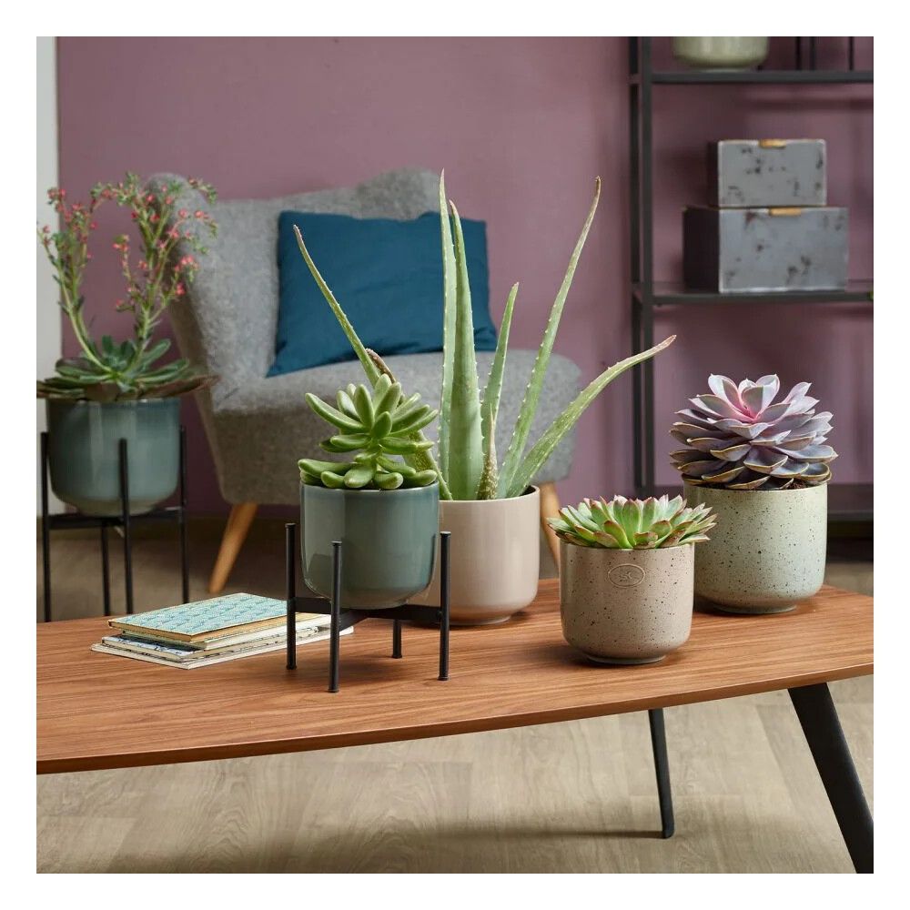 Ruukkuteline antrasiitti 17 x 14 cm