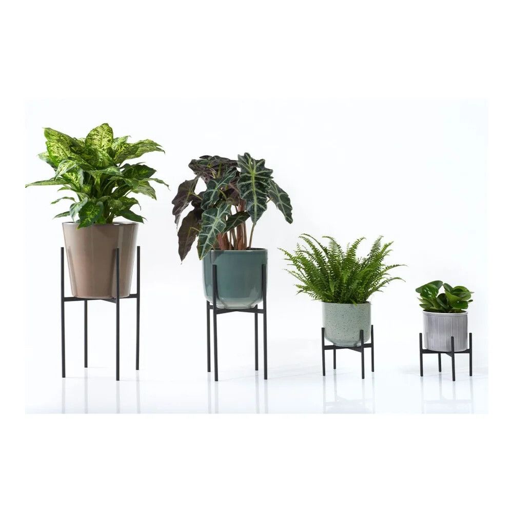 Ruukkuteline antrasiitti 17 x 14 cm