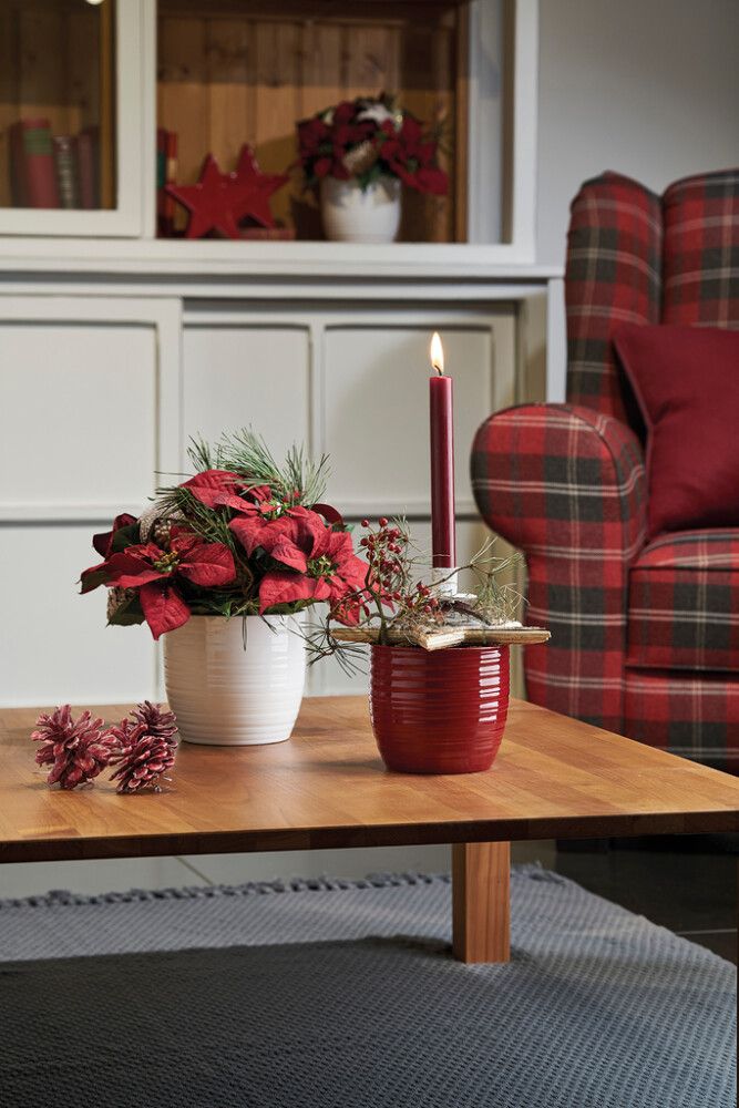 Suojaruukku Soendgen Bergamo valkoinen 24 cm